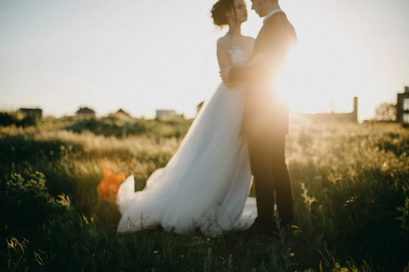 Thandiwe & Lourens at Boschendal, frame 2
