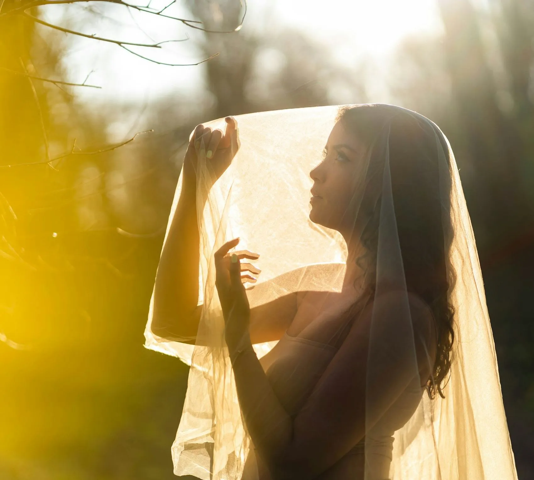 A bride lit from behind, veil glowing