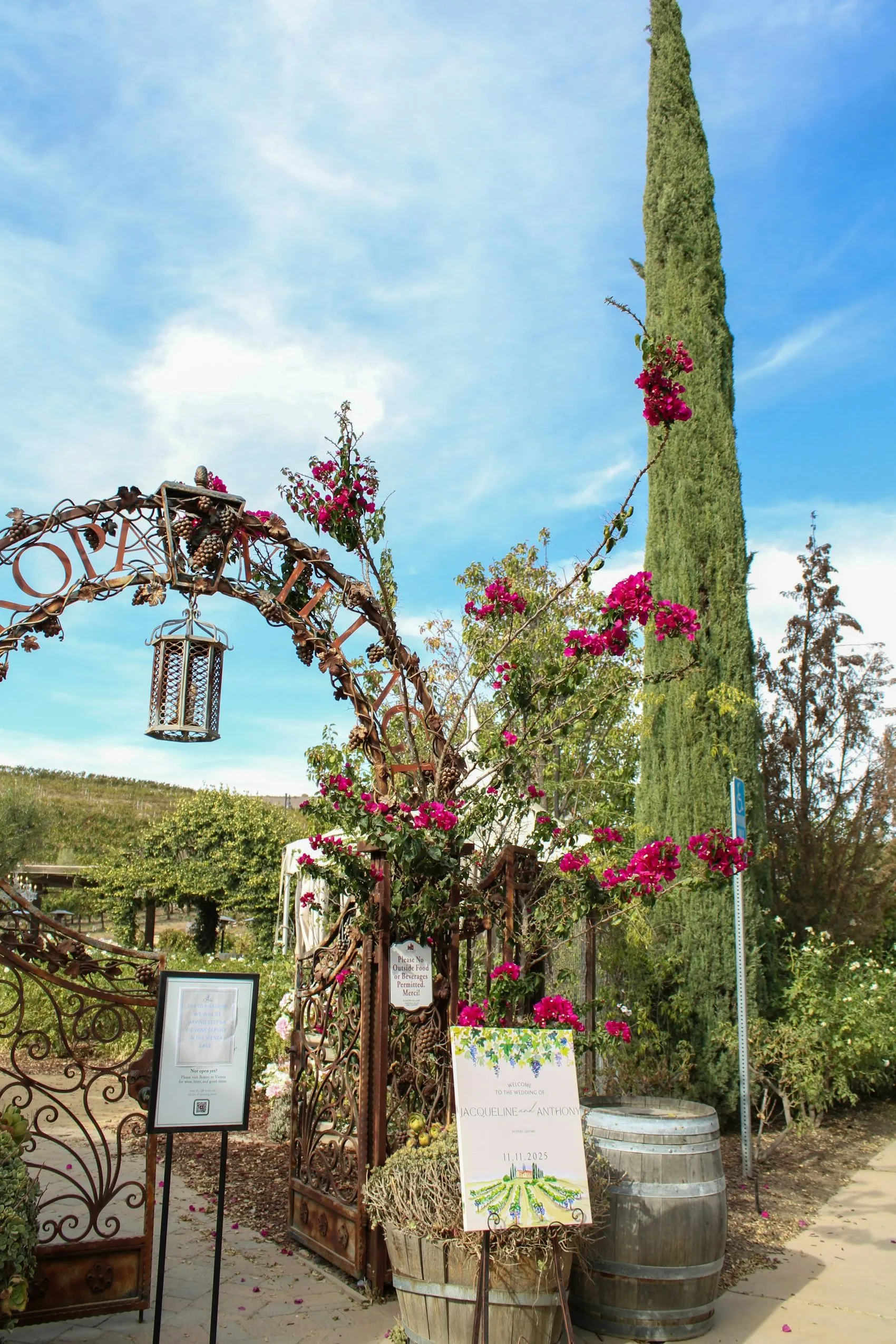 A flower-covered ceremony arch on a Stellenbosch wine estate
